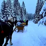 Babiogorski Z Jacuzzi Zubrzyca Gorna