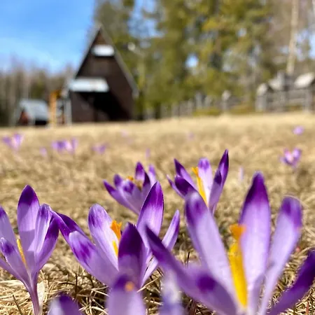 Babiogorski Z Jacuzzi Zubrzyca Górna
