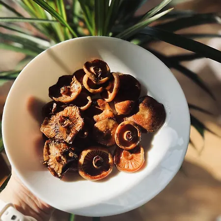 Babiogorski Z Jacuzzi *