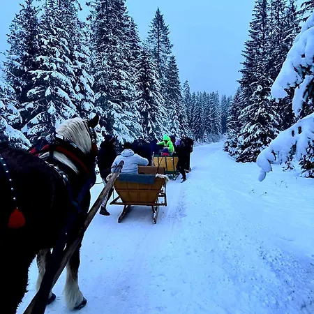 Babiogorski Z Jacuzzi Zubrzyca Górna