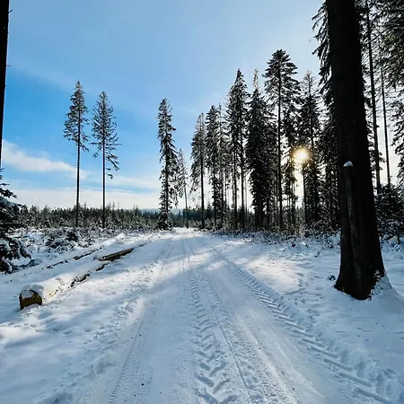 Babiogorski Z Jacuzzi Nyaraló *