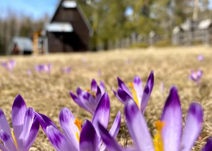 Babiogorski Z Jacuzzi Zubrzyca Gorna