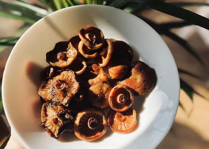 Babiogorski Z Jacuzzi *