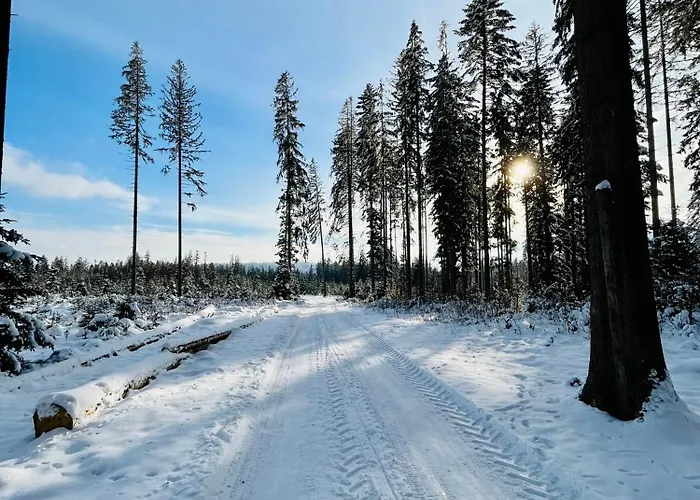Babiogorski Z Jacuzzi Casa vacanze *